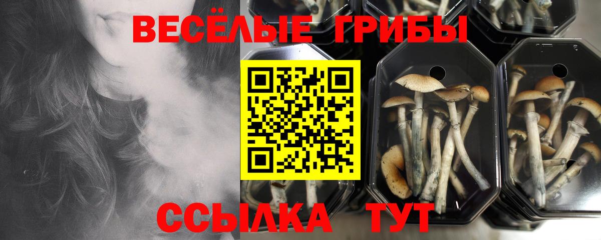Галлюциногенные грибы мухоморы Хабаровск